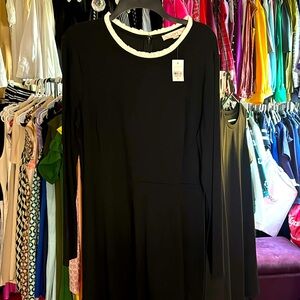 Loft women black knit stretchy dress with white collar ruffle and hem 12 NWT